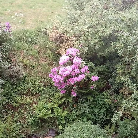 Ferienwohnung Schmallenberg Апартаменты *