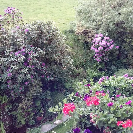 Ferienwohnung Schmallenberg アパート シュマレンベルク