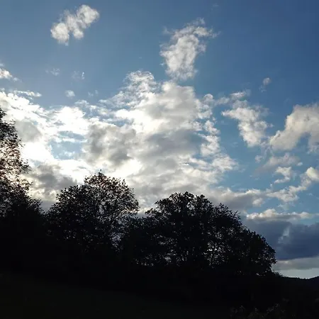 アパート Ferienwohnung Schmallenberg シュマレンベルク