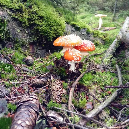 Ferienwohnung Schmallenberg Апартаменты