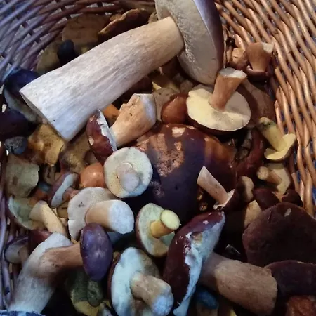 Ferienwohnung Schmallenberg アパート