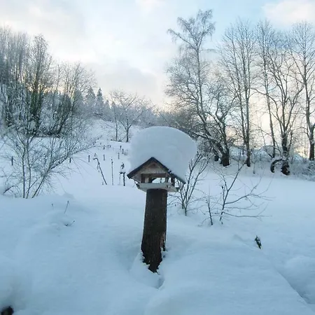 Ferienwohnung Schmallenberg シュマレンベルク