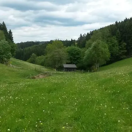 Ferienwohnung Schmallenberg 施马伦贝格