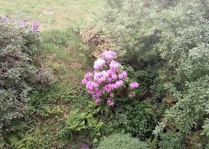 Ferienwohnung Schmallenberg Апартаменты *