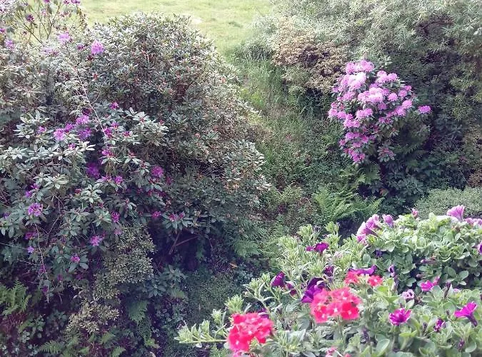 Ferienwohnung Schmallenberg Lejlighed Schmallenberg