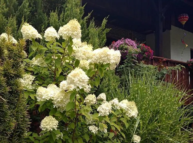 Ferienwohnung Schmallenberg * Шмалленберг