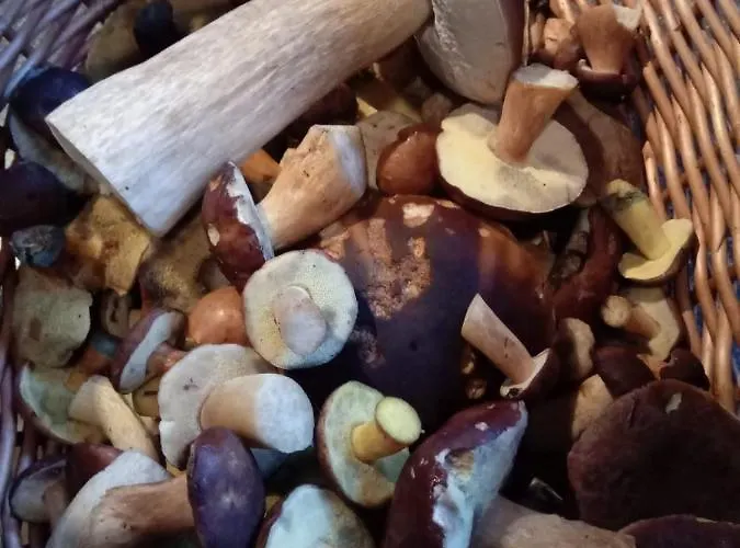 Ferienwohnung Schmallenberg Апартаменты