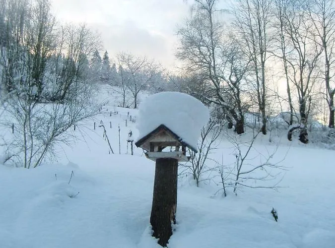 Ferienwohnung Schmallenberg Шмалленберг